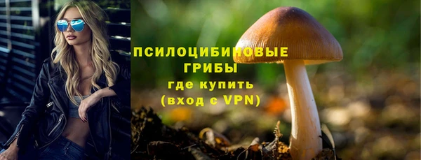 молекула духа Янаул