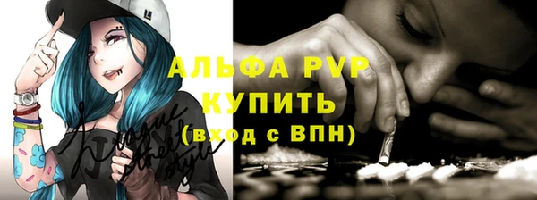 дмт Дмитриев