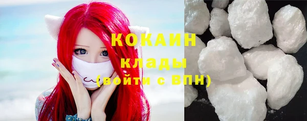 дмт Дмитриев