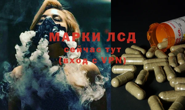 ГАЛЛЮЦИНОГЕННЫЕ ГРИБЫ Переславль-Залесский