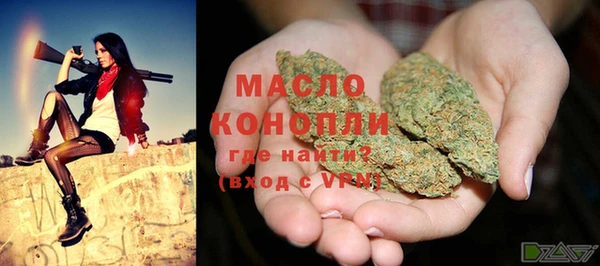 дмт Дмитриев