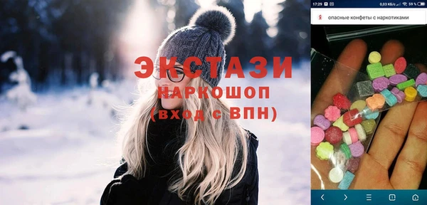 хмурый Пересвет