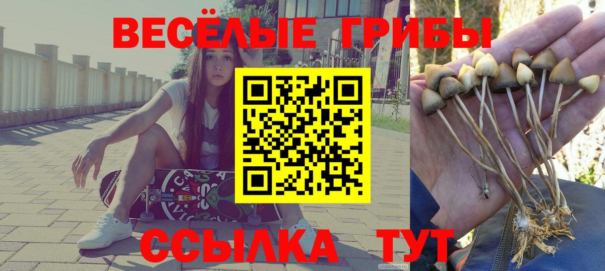 Псилоцибиновые грибы MAGIC MUSHROOMS Обь