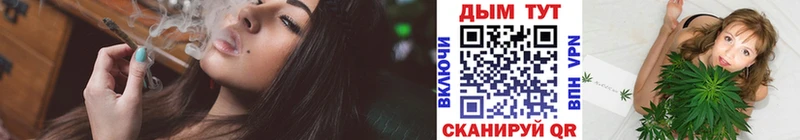 Бошки Шишки планчик  Обь 