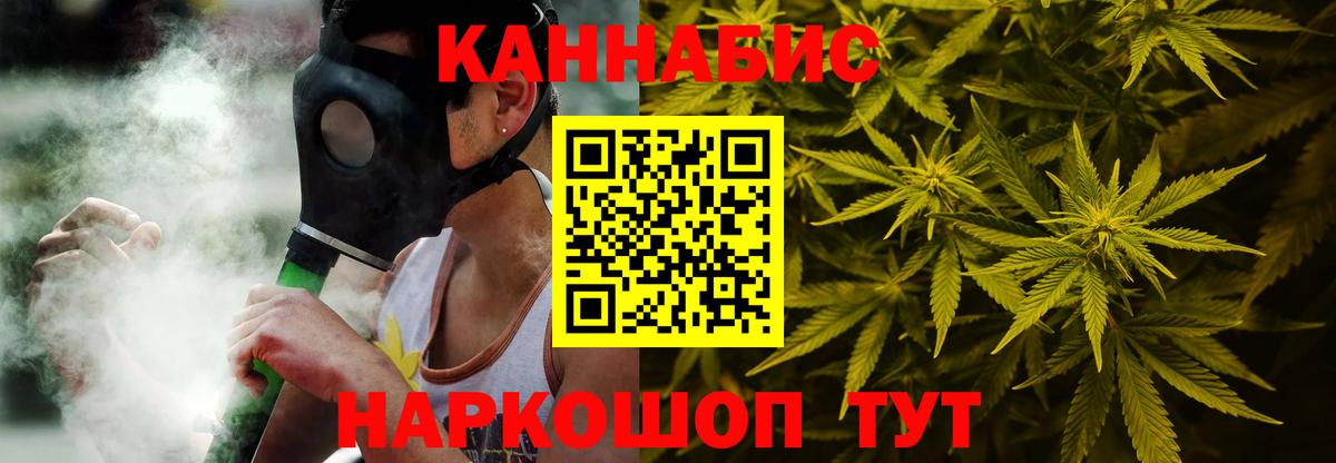 Бошки Шишки планчик Обь